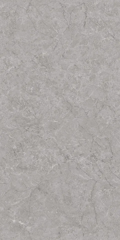 REFINE GREY SILK view 5